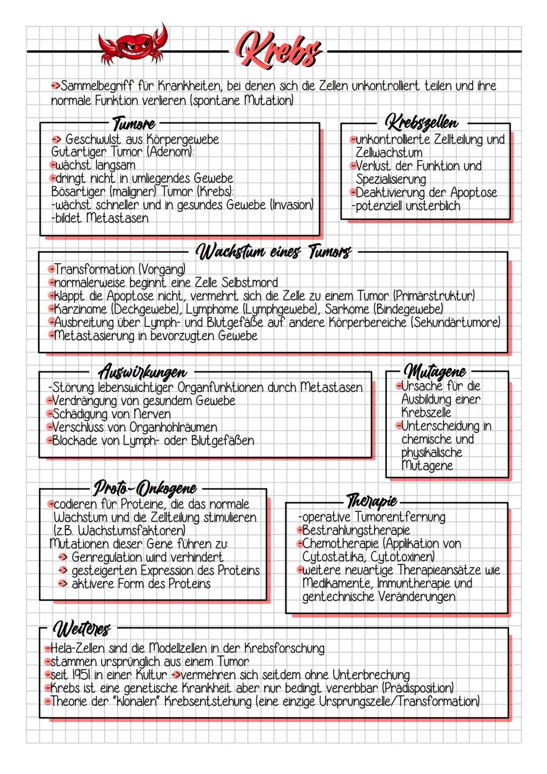 # Krebs

->Sammelbegriff für Krankheiten, bei denen sich die Zellen unkontrolliert teilen und ihre
normale Funktion verlieren (spontane Muta
