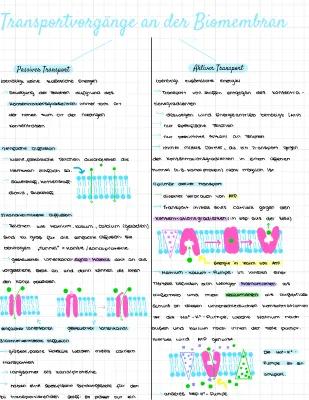 Know Transportvorgänge an der Biomembran  thumbnail