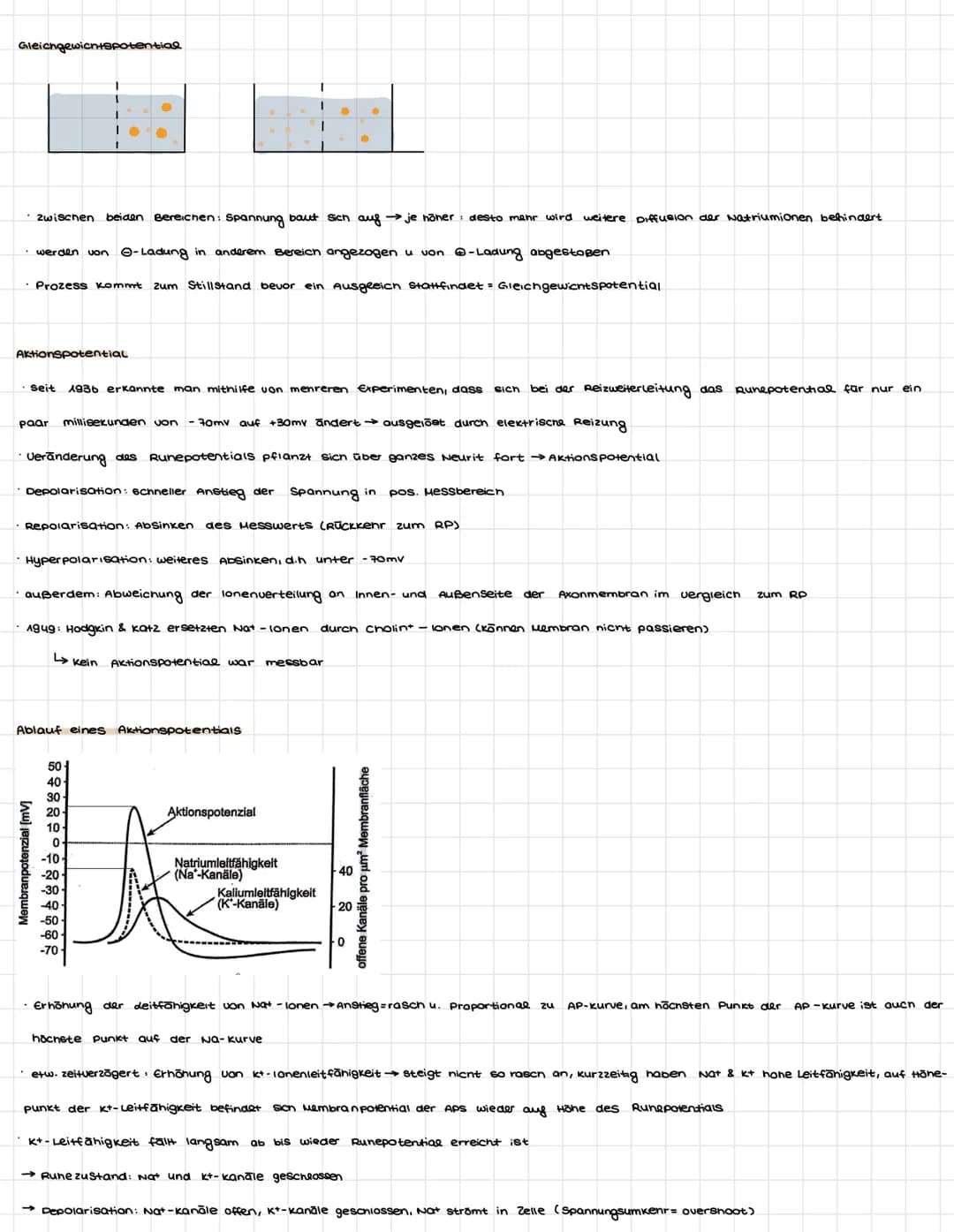 Gliederung des Nervensystems
> zentrales Nervensystem
• Gehirn + Rückenmark
Reiz-Reaktionsschema
optischer Reiz
Neurobiologie
Leiten
sensori