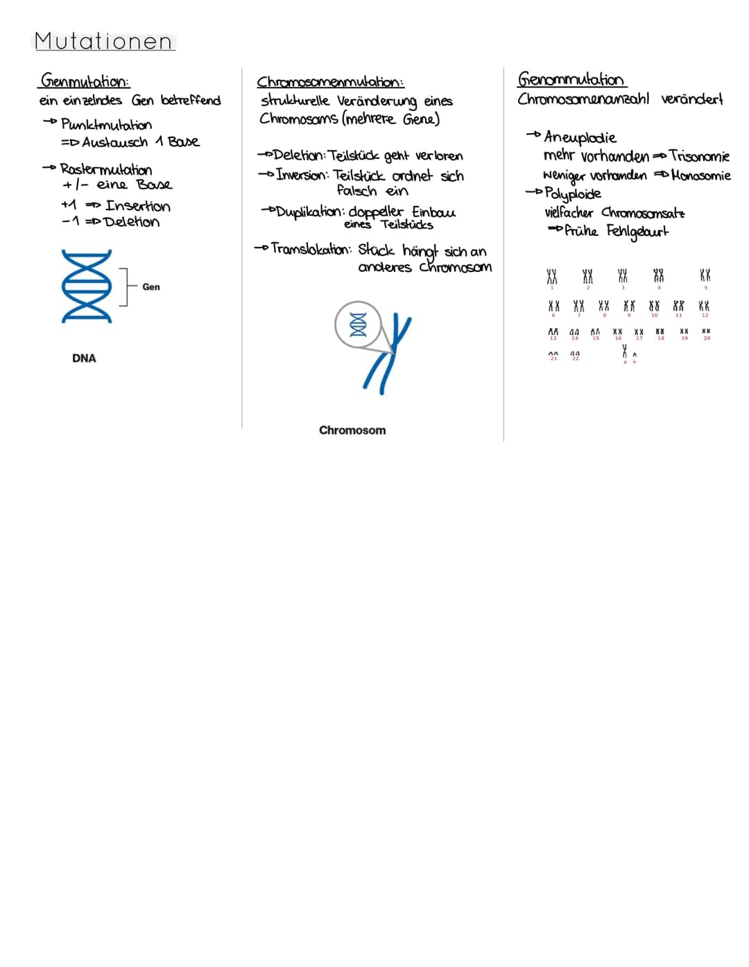 Aufbau der DNA
Wasserstoffbrückenbindung
10000
Adenin
Purin-Base: Adenin & Guanin
Pyrimidin-Base: Thymin & Cytosin
Replikation DNA
→identisc