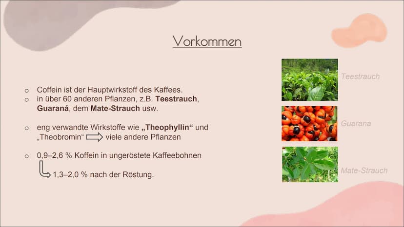 KOFFEIN Aufbau + Eigenschaften
Vorkommen
Herstellung
Wirkung auf den Körper
o Symptome -> Folgen?
Quellen
Gliederung: H3C
'N
O
`N
CH3
C8H10N