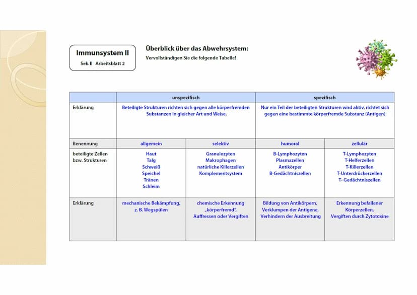 Immunsystem II
Sek.ll Arbeitsblatt 2
Erklärung
Benennung
beteiligte Zellen
bzw. Strukturen
Erklärung
Überblick über das Abwehrsystem:
Vervol