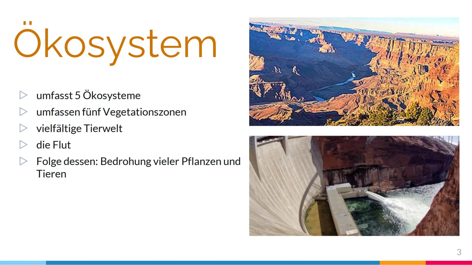 Gliederung:
1.
2.
3.
1. Name des Ökosystems
2. geografische Lage
3. Klassifizierung
4. abiotische Faktoren
5. Biotop
6. tierische und pflanz