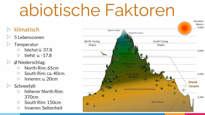 Gliederung:
1.
2.
3.
1. Name des Ökosystems
2. geografische Lage
3. Klassifizierung
4. abiotische Faktoren
5. Biotop
6. tierische und pflanz