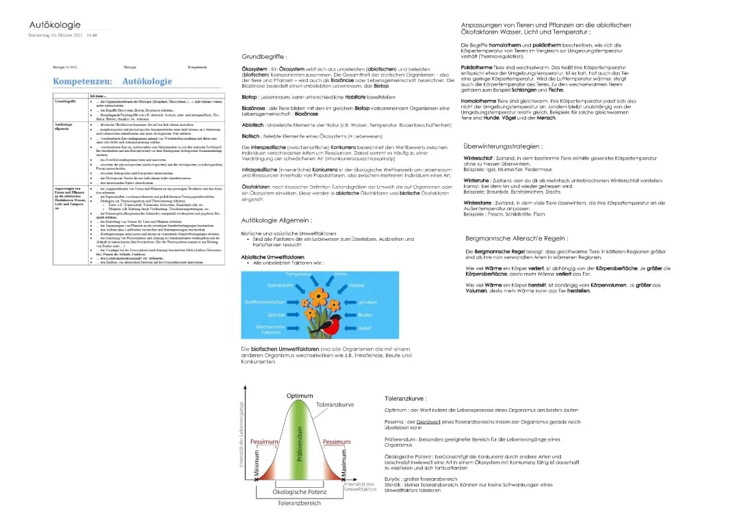 Mesophyten, Xerophyten und Hydrophyten: Pflanzen und ihre Anpassungen