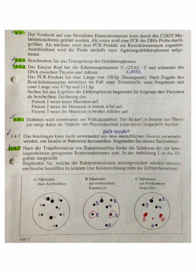 13 Die Gelelektrophorese ist ein Verfahren
mit dem man Moleküle voneinander
trennen kann und sichtbar machen
kann. Eine Gelelectrophoreseapp