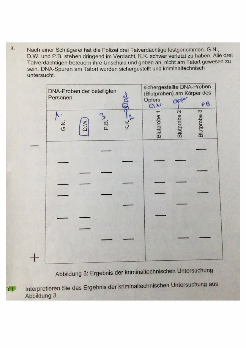 13 Die Gelelektrophorese ist ein Verfahren
mit dem man Moleküle voneinander
trennen kann und sichtbar machen
kann. Eine Gelelectrophoreseapp