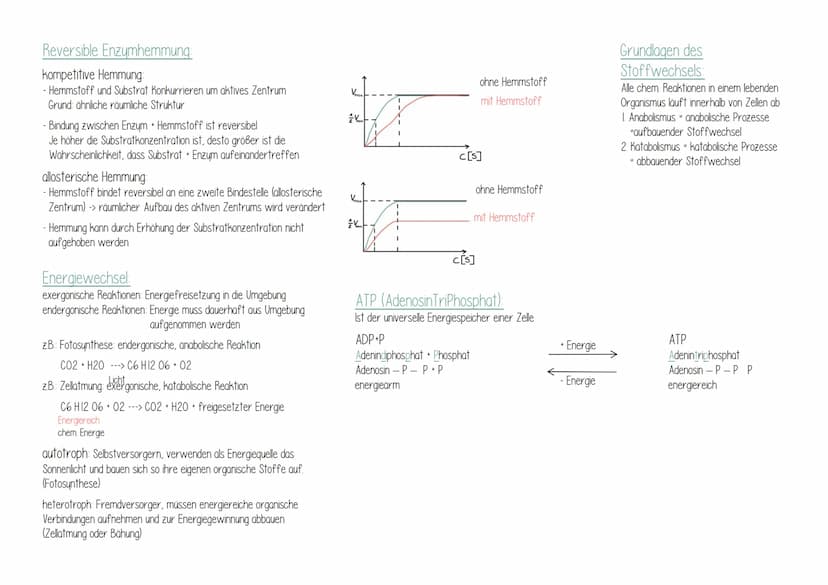 Biologie
Geißel
Ribosom
Zellwand
Versikel (Bläschen von
Membran Umgeben)
Zellmembran Zellplasma/
Cytoplasma
ringförmiges DNA-molekül
("Bakte