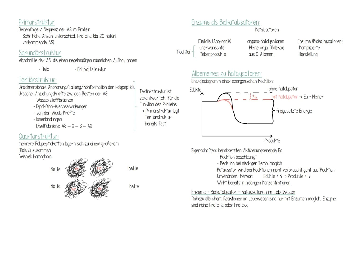 Biologie
Geißel
Ribosom
Zellwand
Versikel (Bläschen von
Membran Umgeben)
Zellmembran Zellplasma/
Cytoplasma
ringförmiges DNA-molekül
("Bakte