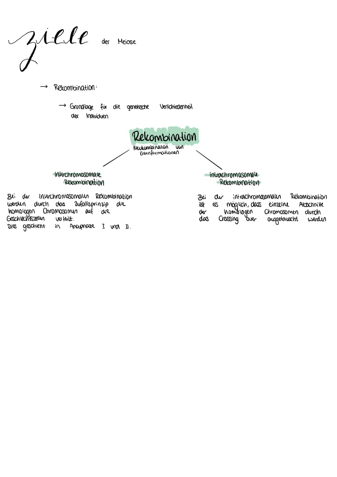 MEIOSE
XXXX
(1) D
Bildung de
Interphase
Verdopplung der Chromosomen hat bereits
Prophase 1
Geschlechtszellen
→ Zellmembran löst sich auf und
