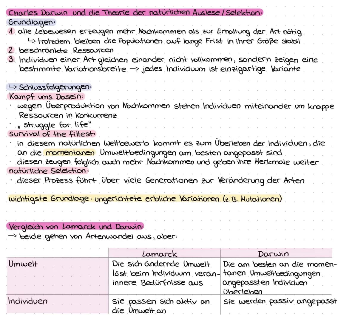 EVOLUTION
-> Der gemeinsame Ursprung aller Lebewesen, ihre Verwandtschaft und Veränderlichkeit.
sind Grundelemente des Evolutionsgedankens.
