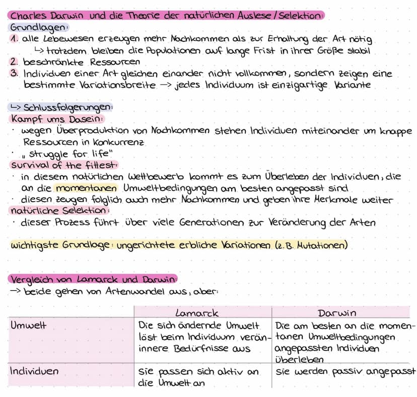 EVOLUTION
-> Der gemeinsame Ursprung aller Lebewesen, ihre Verwandtschaft und Veränderlichkeit.
sind Grundelemente des Evolutionsgedankens.
