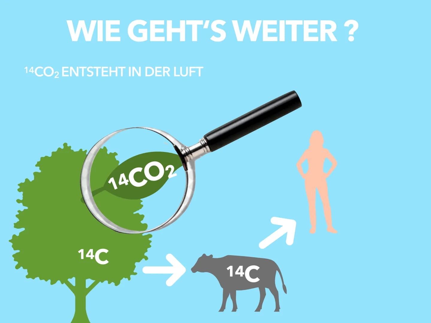 C-14 METHODE
BY ALICIA WIEBRING
LO
I C-14 Methode
Freitag, 14. Mai 2021
Allgemein
Wird auch Radiokarbonmethode genannt
Es ist ein Verfahren 