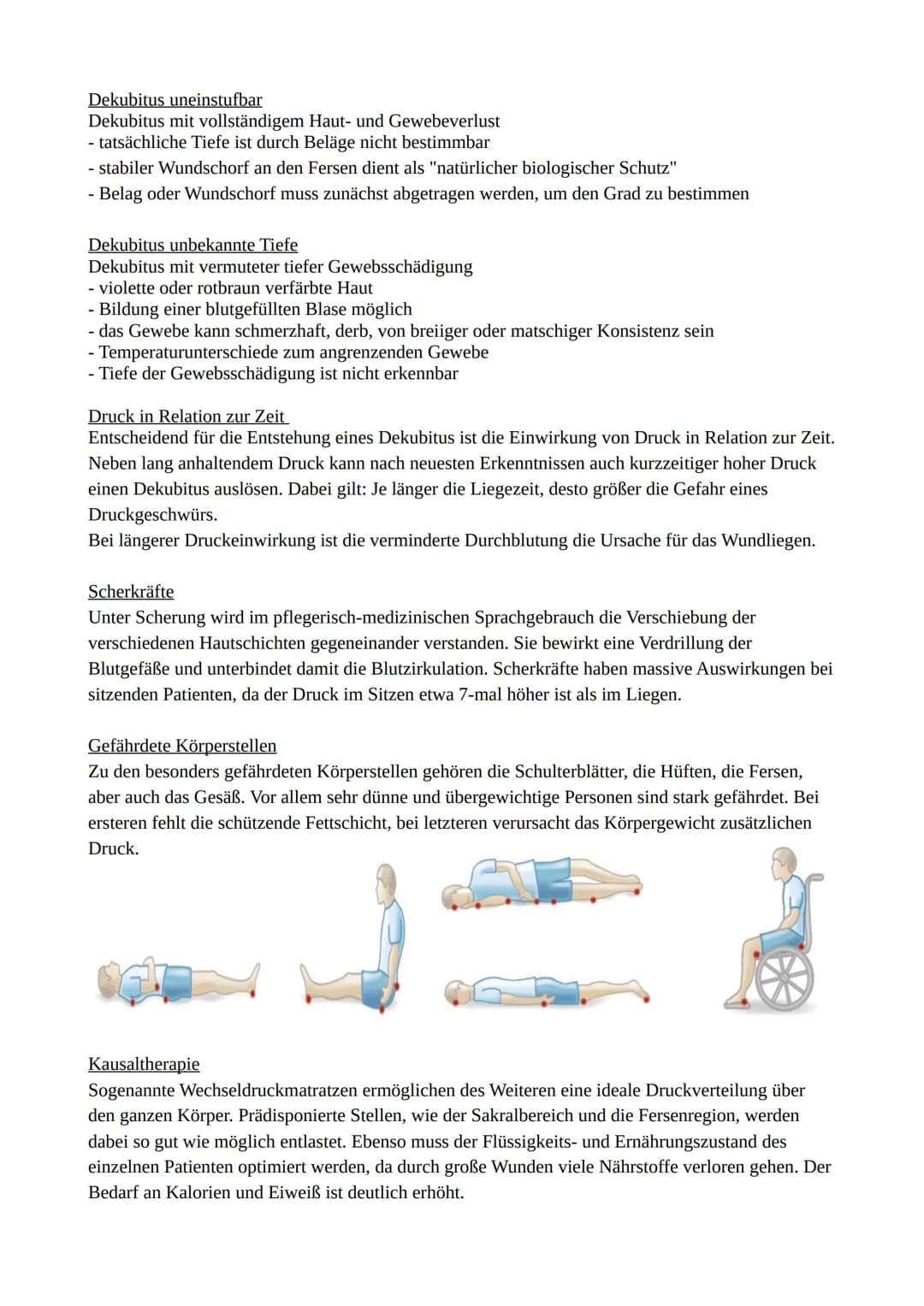 Lernzettel Gesundheitswissenschaften
Die Haut ist das Größte Organ des menschlichen Körpers!
Physiologische Grundlagen der Haut
Die emotiona