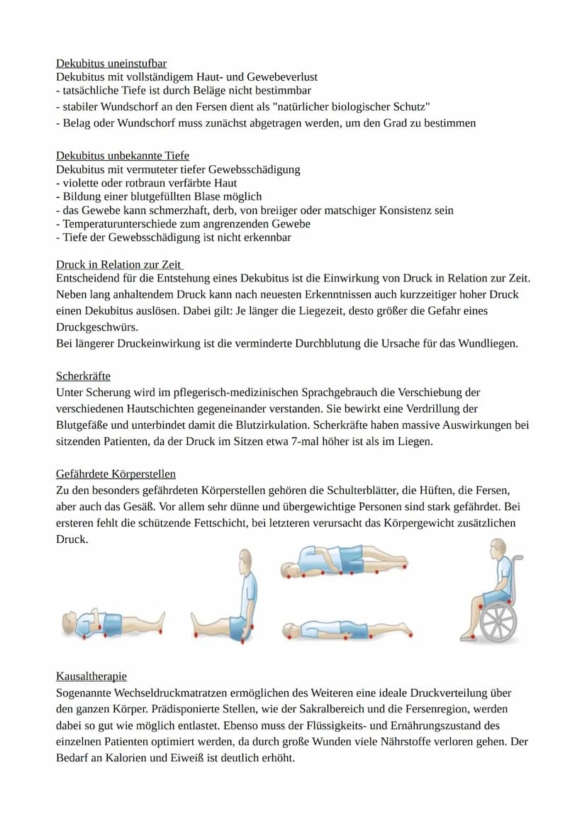 Lernzettel Gesundheitswissenschaften
Die Haut ist das Größte Organ des menschlichen Körpers!
Physiologische Grundlagen der Haut
Die emotiona