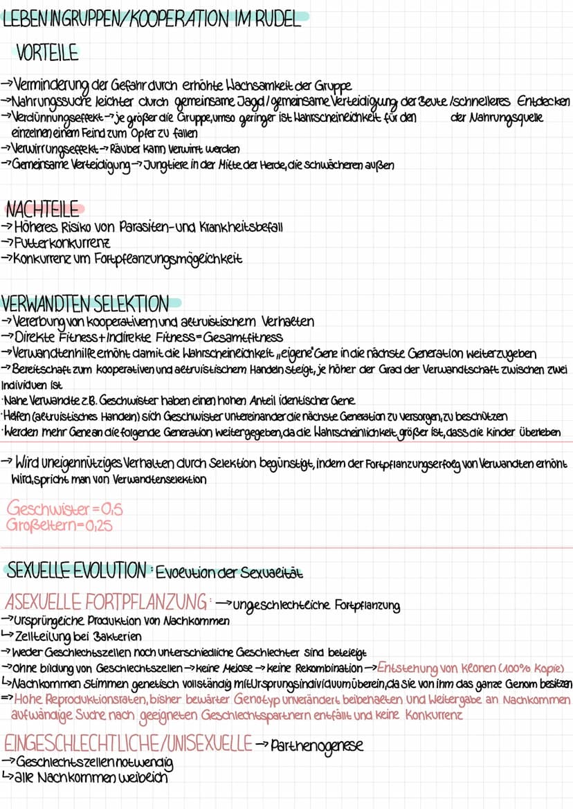 2 KLAUSUR EVOLUTION
ARTBILDUNG
allos-andersi patria-Heimat
ALLOPATRISCHE Entstehung einer neuen Art im Gebiet der Ursprungsart durch räumeic