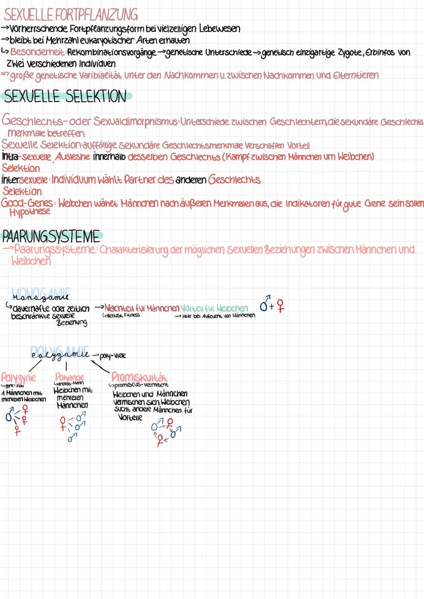 2 KLAUSUR EVOLUTION
ARTBILDUNG
allos-andersi patria-Heimat
ALLOPATRISCHE Entstehung einer neuen Art im Gebiet der Ursprungsart durch räumeic
