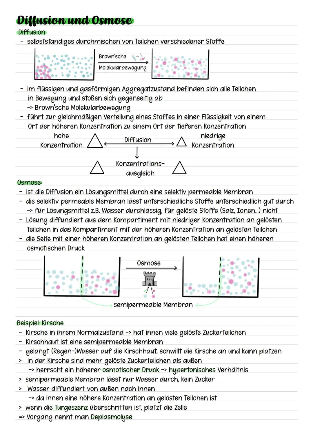 Diffusion und Osmose
Diffusion
selbstständiges durchmischen von Teilchen verschiedener Stoffe
Brown'sche
-
Molekularbewegung
im flüssigen un