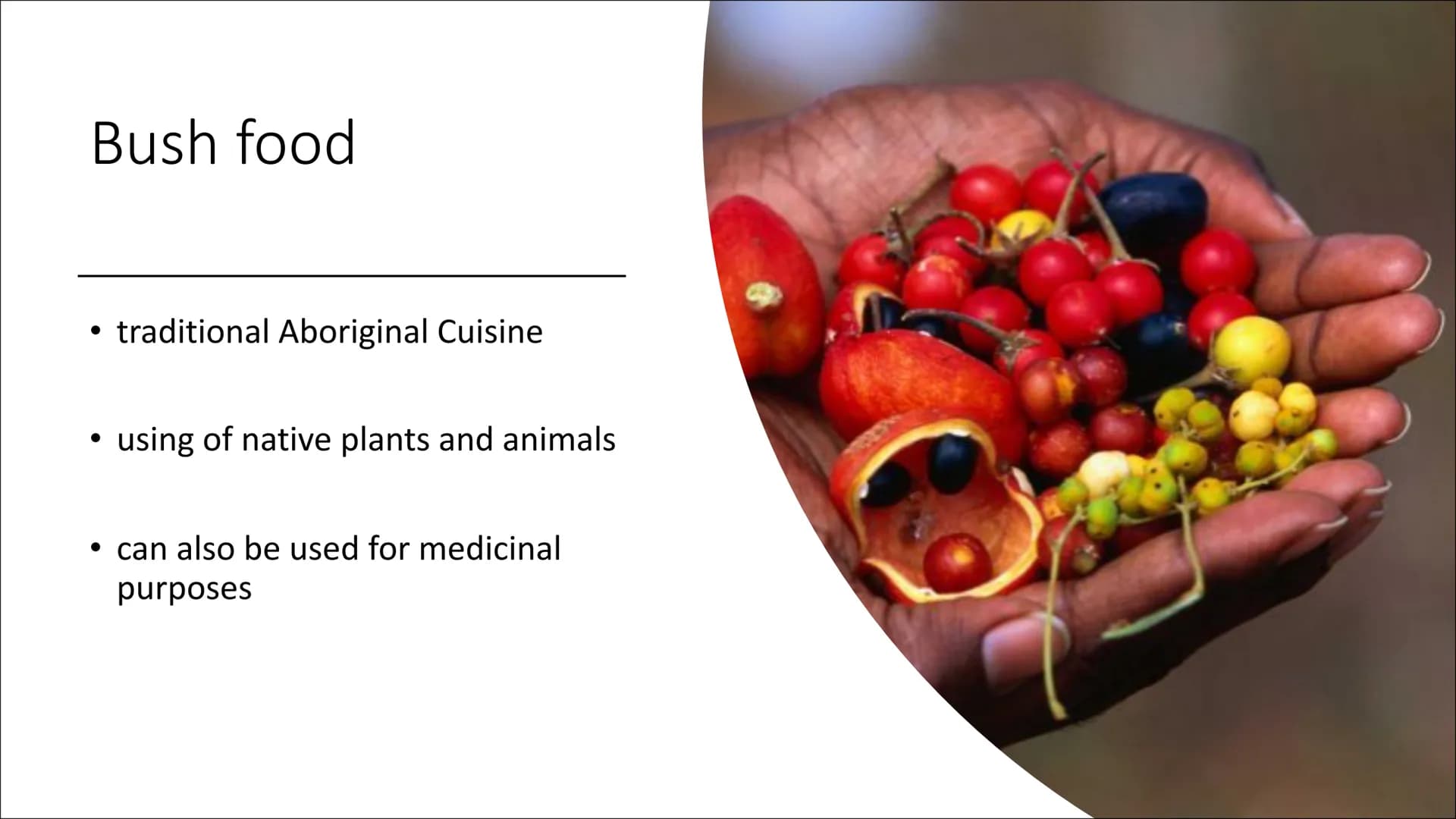 Australian Food
Alina Totzke & Jana Elvers 9c
MAB ●
●
General Informations
Traditional food
Bush food
Quiz
Sources
Structure General Informa