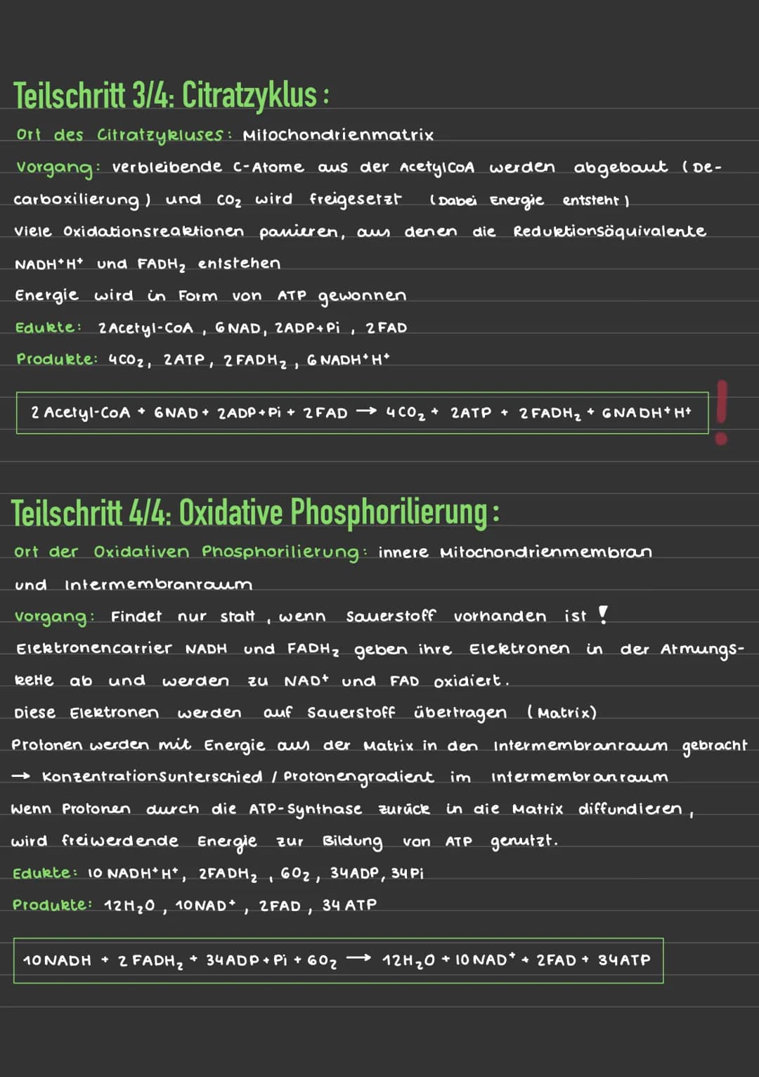 Aufbau eines Mitochondriums:
Mitochondriale DNA
Ribosomen
Lernzettel/ Zellatmung
មា
Matrix
Alaris
+70s Ribosome
ATP Synthase
wwwww
C6H₁₂O6 +