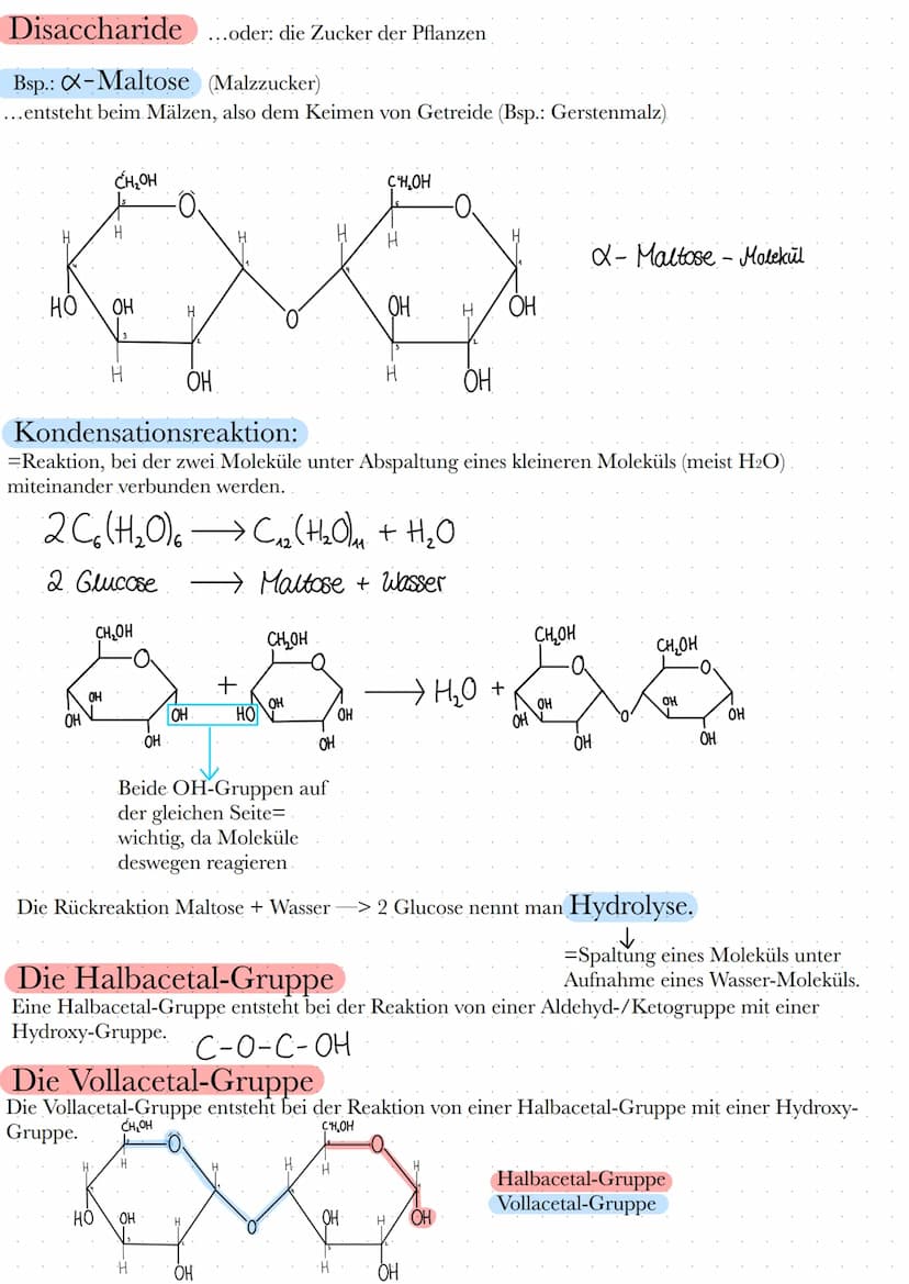  Kohlenhydrate
So erkennt man ein Kohlenhydrat:
Verbrennt man Kohlenhydrate bleibt ein schwarzer Feststoff Kohlenstoff und Wasser
Nachweis: 