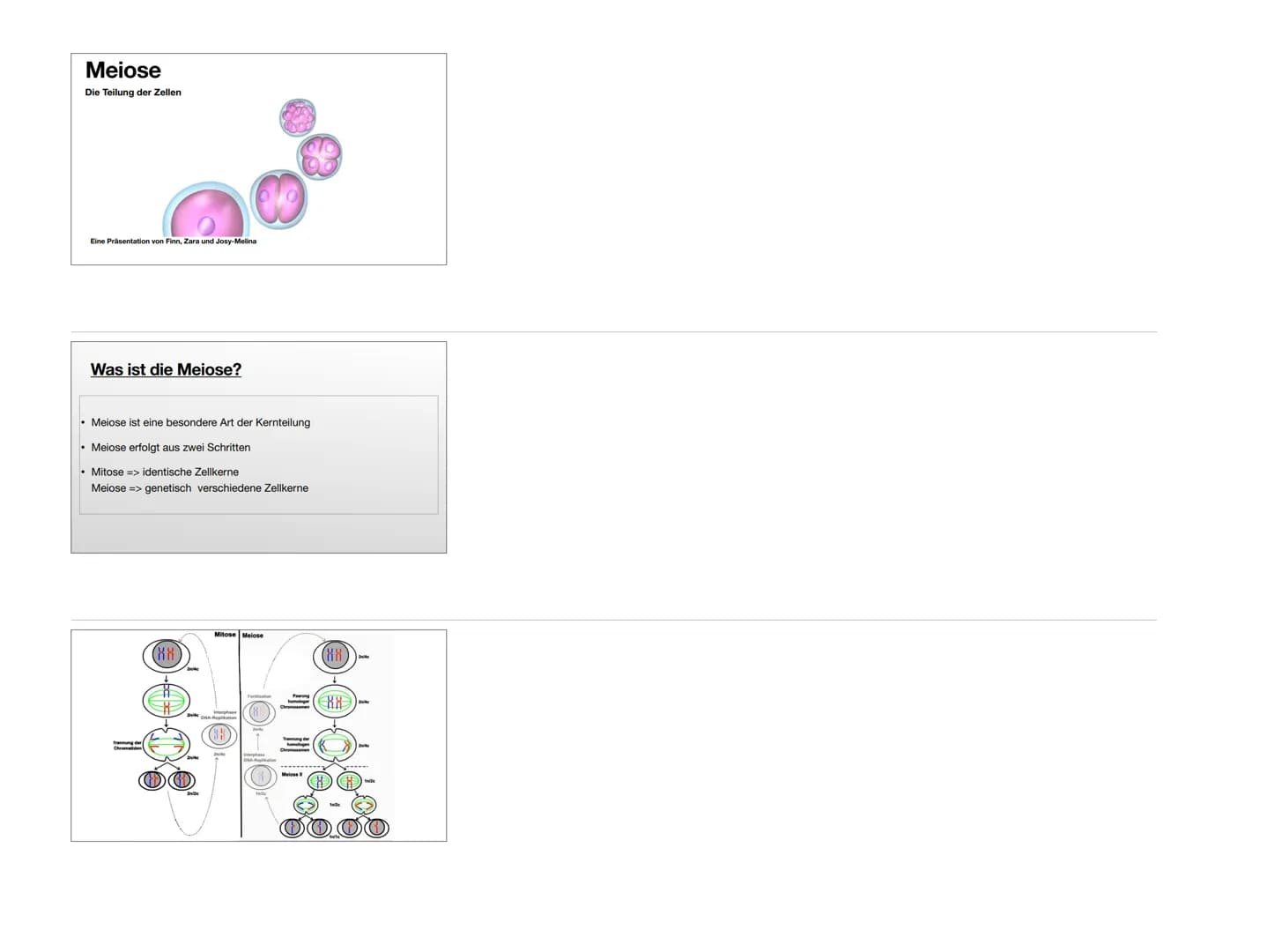 Meiose
Die Teilung der Zellen
Eine Präsentation von Finn, Zara und Josy-Melina
Was ist die Meiose?
• Meiose ist eine besondere Art der Kernt