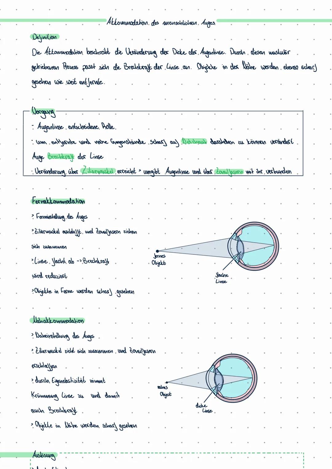 Akkommodation, des menschlichen. Auges

Definition
Die Akkommodation beschreibt die Veränderung der Dicke cler. Augenlinse. Durch diesen mus