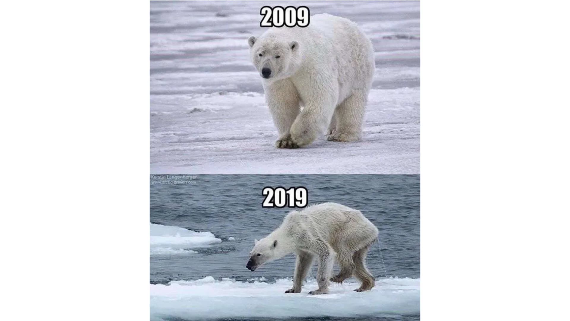 Kerstin Langenberger
www.telceBrewnes cise
2009
2019 Climate
change
Can we fix climate change? ●
●
●
●
●
●
Structure
Definition
Cause (human