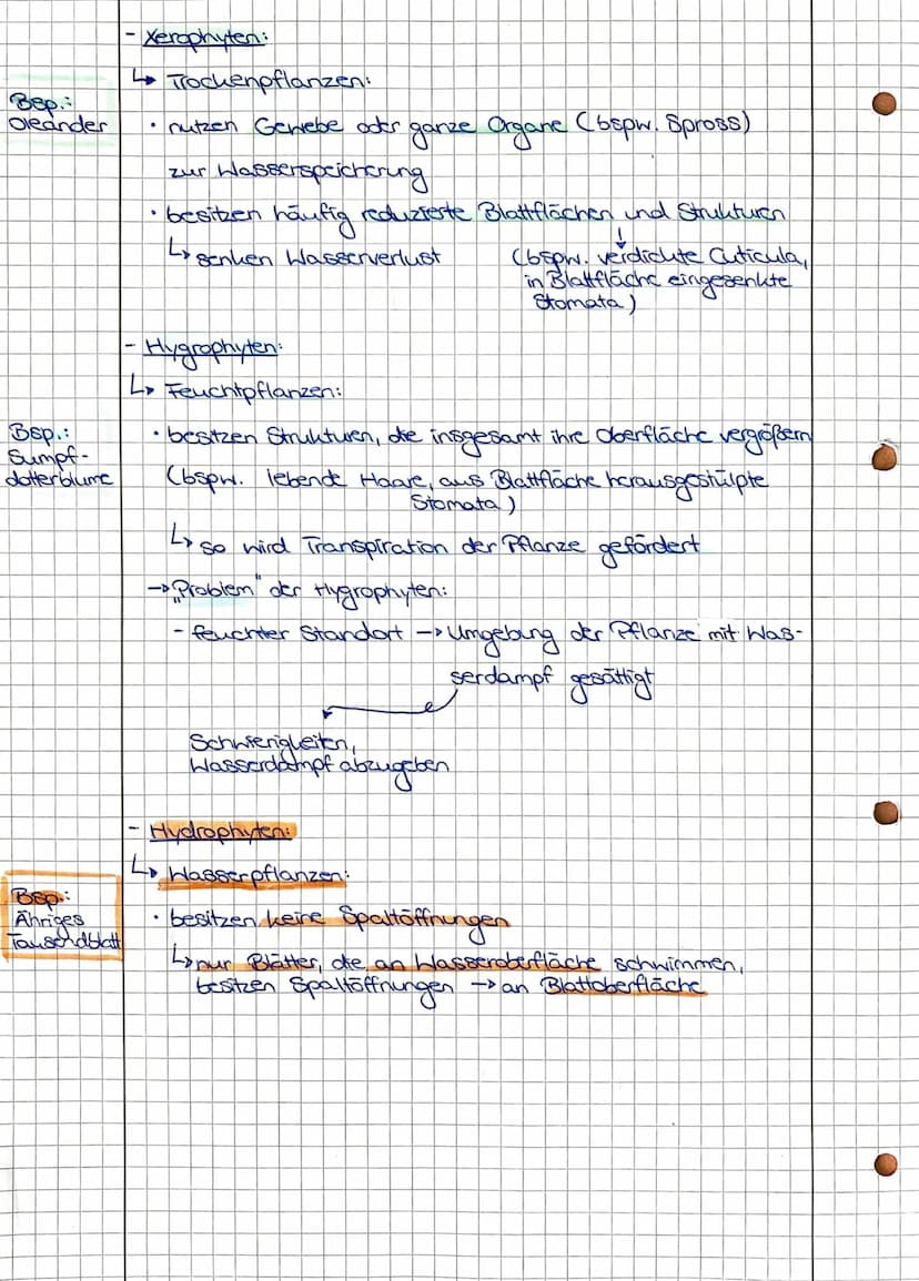 Intensität d. Lebensvorgänge
abiotische
faktoreh
Minit
mum,
Pessimum
-Toleranzbereich:
Optimum
Präferendum
umweet
-Toleranzbereich
einer Art