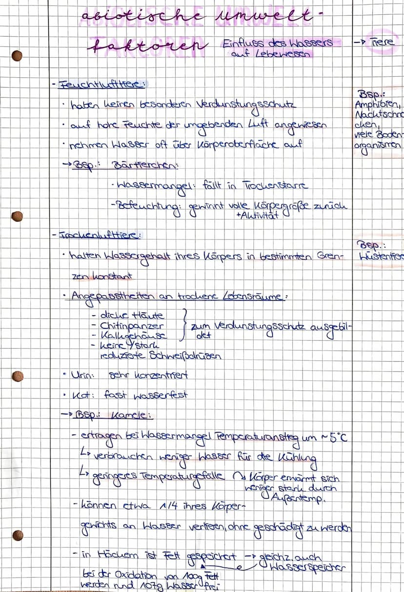 Intensität d. Lebensvorgänge
abiotische
faktoreh
Minit
mum,
Pessimum
-Toleranzbereich:
Optimum
Präferendum
umweet
-Toleranzbereich
einer Art