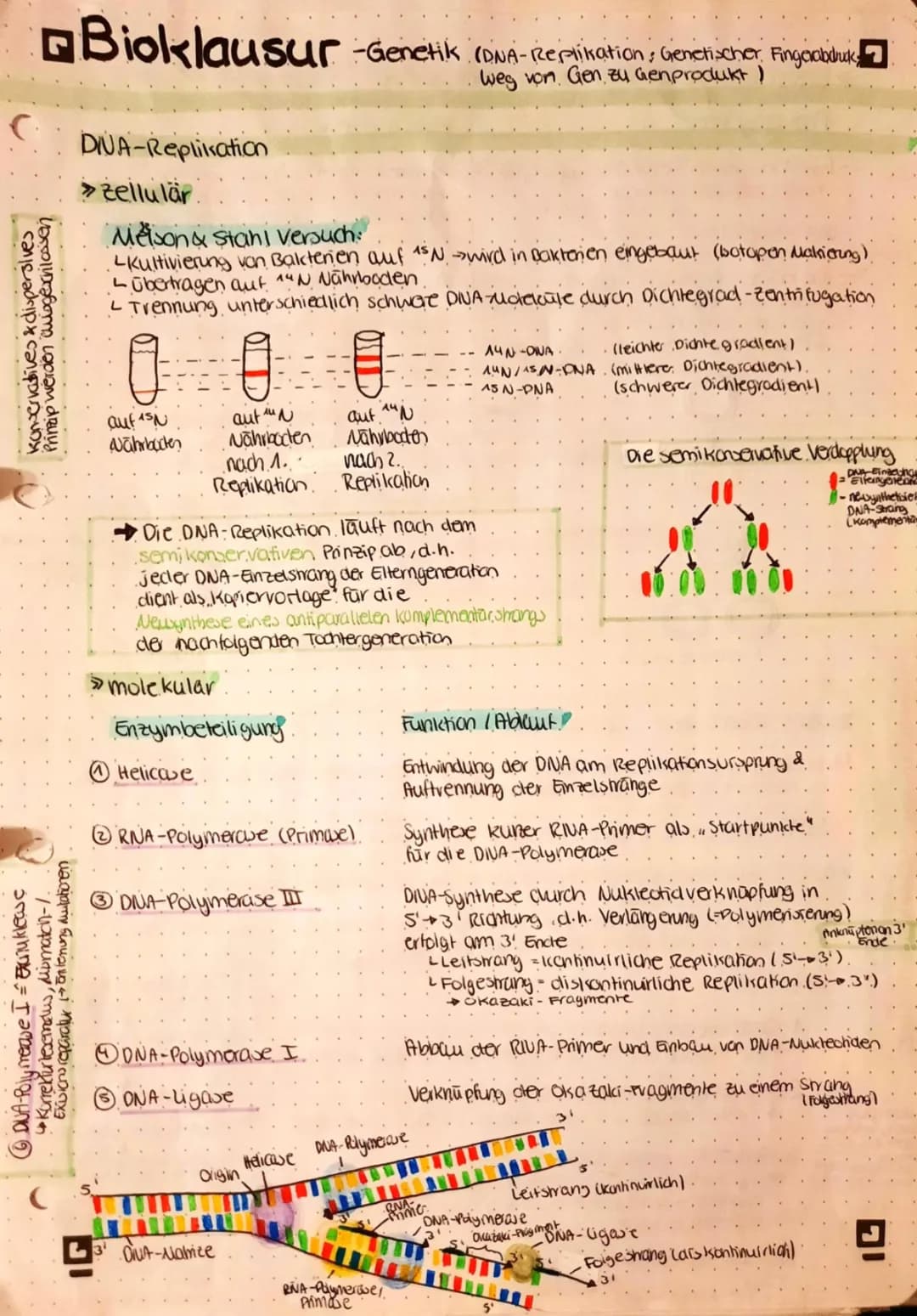 Genetik- DNA-Replikation, PCR, Gel-Elektrophorese, Proteinbiosynthese, Mutation, DNA-Sequenzierung