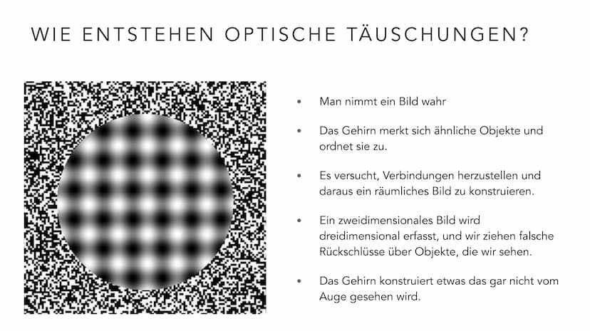  EMMA MEBES 21.12.21
PRÄSENTATION OPTISCHE
TÄUSCHUNGEN/ ILLUSIONEN INHALTSVERZEICHNIS
Entscheidung: Warum habe ich mich für diese Thema ents