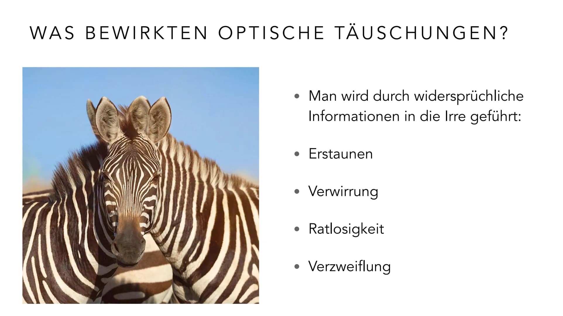 EMMA MEBES 21.12.21
PRÄSENTATION OPTISCHE
TÄUSCHUNGEN/ ILLUSIONEN INHALTSVERZEICHNIS
Entscheidung: Warum habe ich mich für diese Thema ents