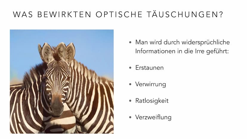  EMMA MEBES 21.12.21
PRÄSENTATION OPTISCHE
TÄUSCHUNGEN/ ILLUSIONEN INHALTSVERZEICHNIS
Entscheidung: Warum habe ich mich für diese Thema ents