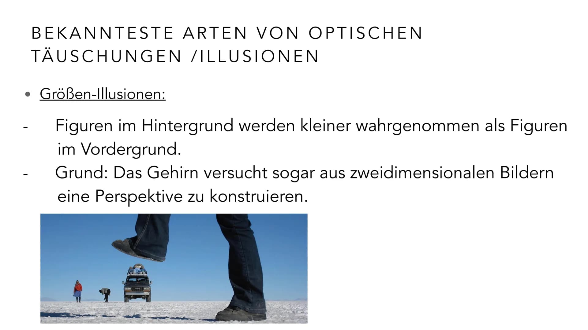  EMMA MEBES 21.12.21
PRÄSENTATION OPTISCHE
TÄUSCHUNGEN/ ILLUSIONEN INHALTSVERZEICHNIS
Entscheidung: Warum habe ich mich für diese Thema ents