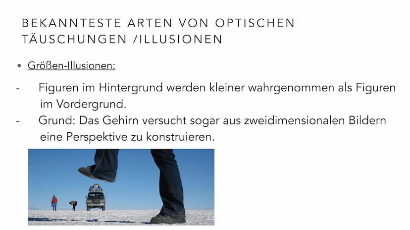  EMMA MEBES 21.12.21
PRÄSENTATION OPTISCHE
TÄUSCHUNGEN/ ILLUSIONEN INHALTSVERZEICHNIS
Entscheidung: Warum habe ich mich für diese Thema ents