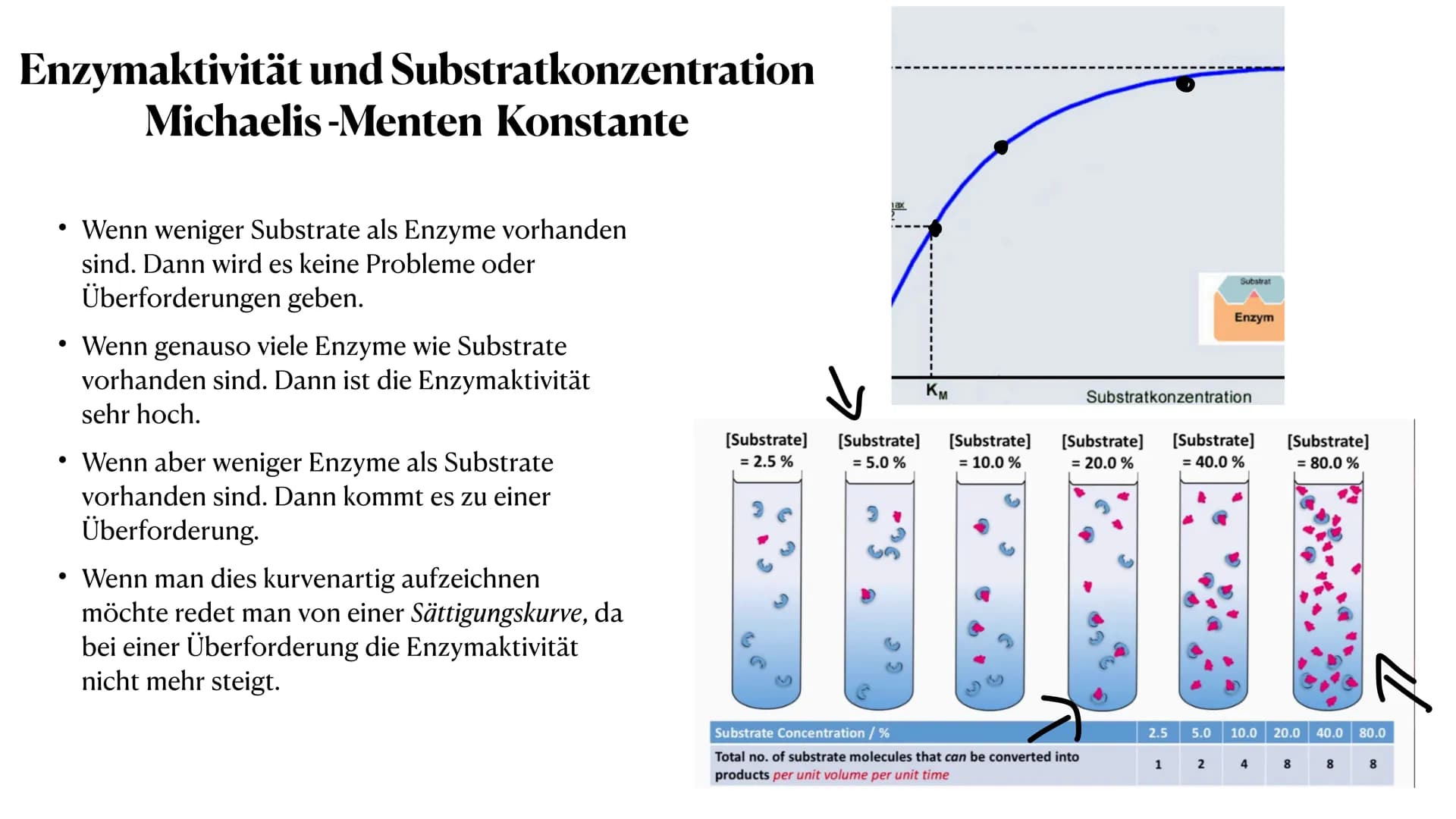 HEY! That's
MY enzyme!
Amoeb
Whatever. Don't see
your name on it.
Competitive Inhibitors: If it fits, it sits.
Enzymatik
Was sind Enzyme? ●

