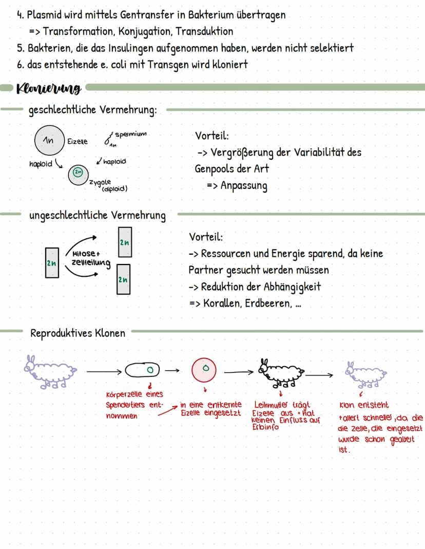 Gentechnik
= Methoden und Verfahren, die gezielte Eingriffe in das Erbgut von Lebewesen ermöglicht
> Veränderung und Neuzusammensetzung von 