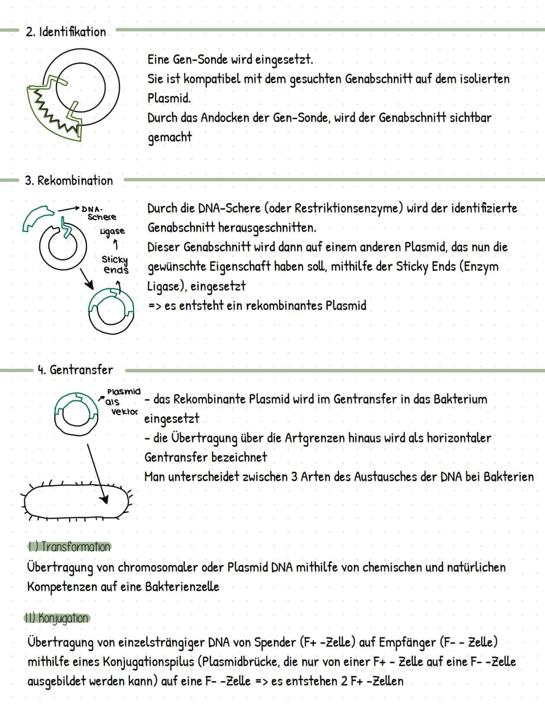 Gentechnik
= Methoden und Verfahren, die gezielte Eingriffe in das Erbgut von Lebewesen ermöglicht
> Veränderung und Neuzusammensetzung von 
