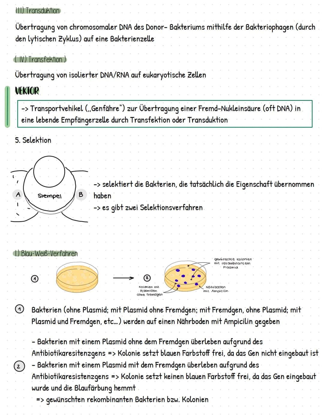 Gentechnik
= Methoden und Verfahren, die gezielte Eingriffe in das Erbgut von Lebewesen ermöglicht
> Veränderung und Neuzusammensetzung von 
