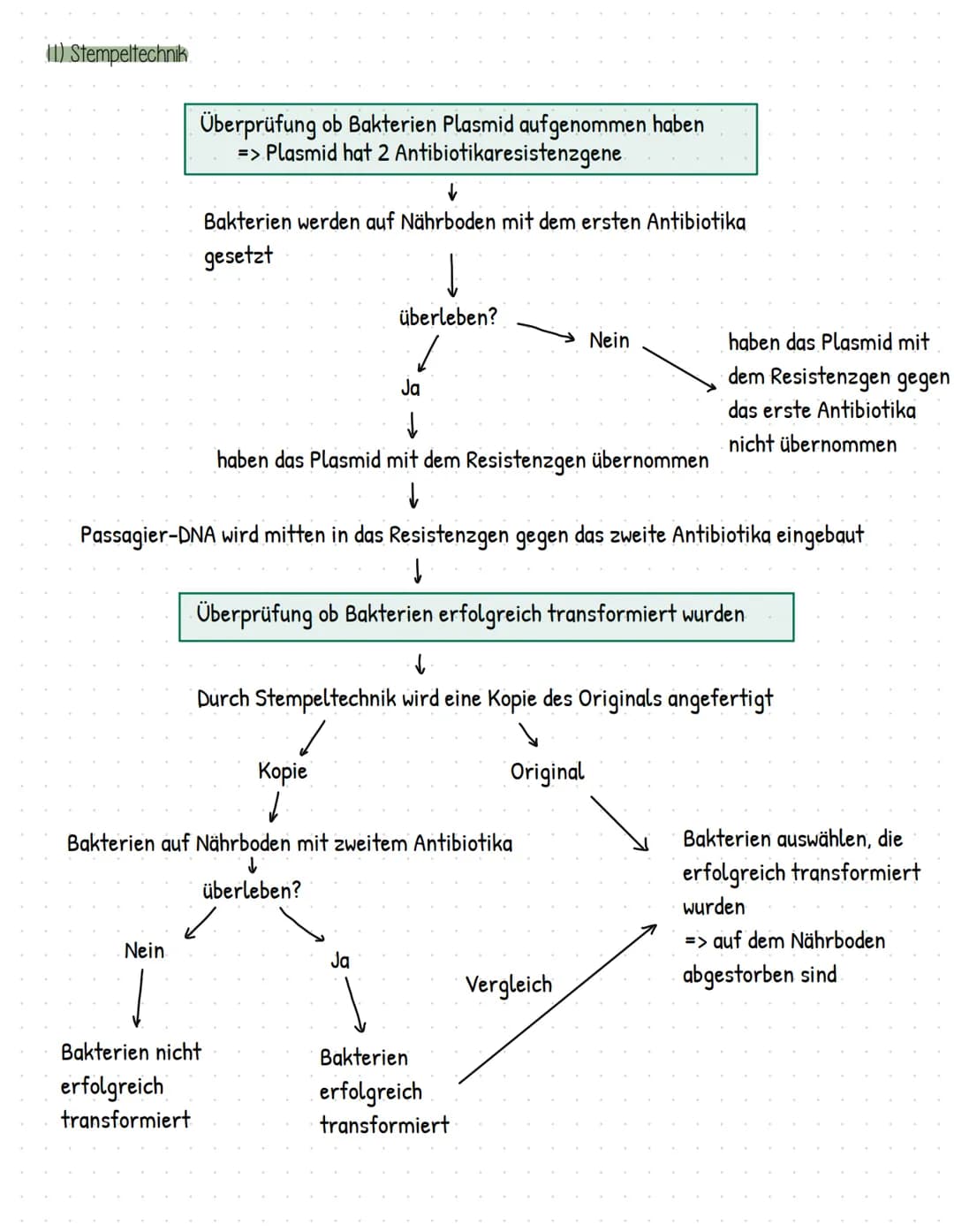 Gentechnik
= Methoden und Verfahren, die gezielte Eingriffe in das Erbgut von Lebewesen ermöglicht
> Veränderung und Neuzusammensetzung von 