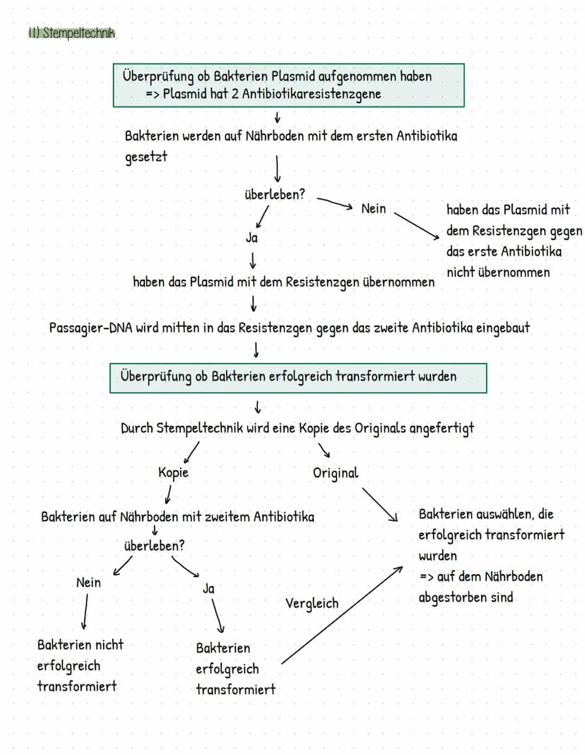 Gentechnik
= Methoden und Verfahren, die gezielte Eingriffe in das Erbgut von Lebewesen ermöglicht
> Veränderung und Neuzusammensetzung von 