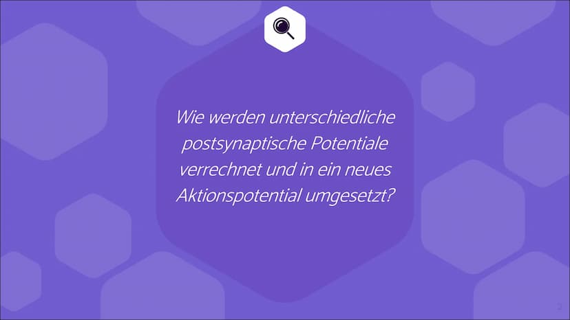 Erregende und
hemmende
Synapsen Wie werden unterschiedliche
postsynaptische Potentiale
verrechnet und in ein neues
Aktionspotential umgesetz