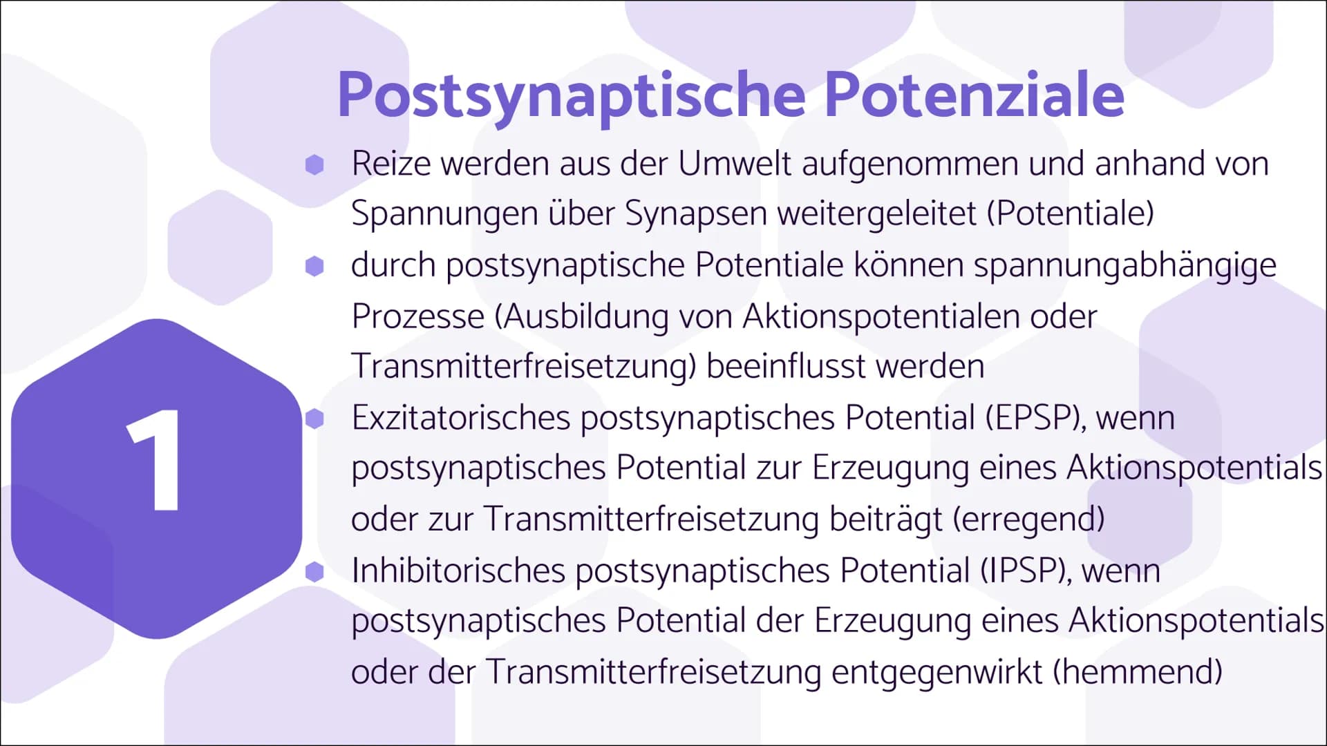 Erregende und
hemmende
Synapsen Wie werden unterschiedliche
postsynaptische Potentiale
verrechnet und in ein neues
Aktionspotential umgesetz