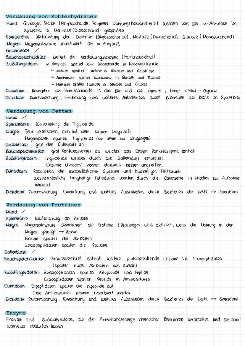 Verdauung
Die Verdauungsorgane
Gallen blase:
VERDAUUNG & RESORPTION
Bauchspeicheldrüse
Dickdarm
Mund
Leber (Hepar)
Zwölffingerdarm
Dunndarm
