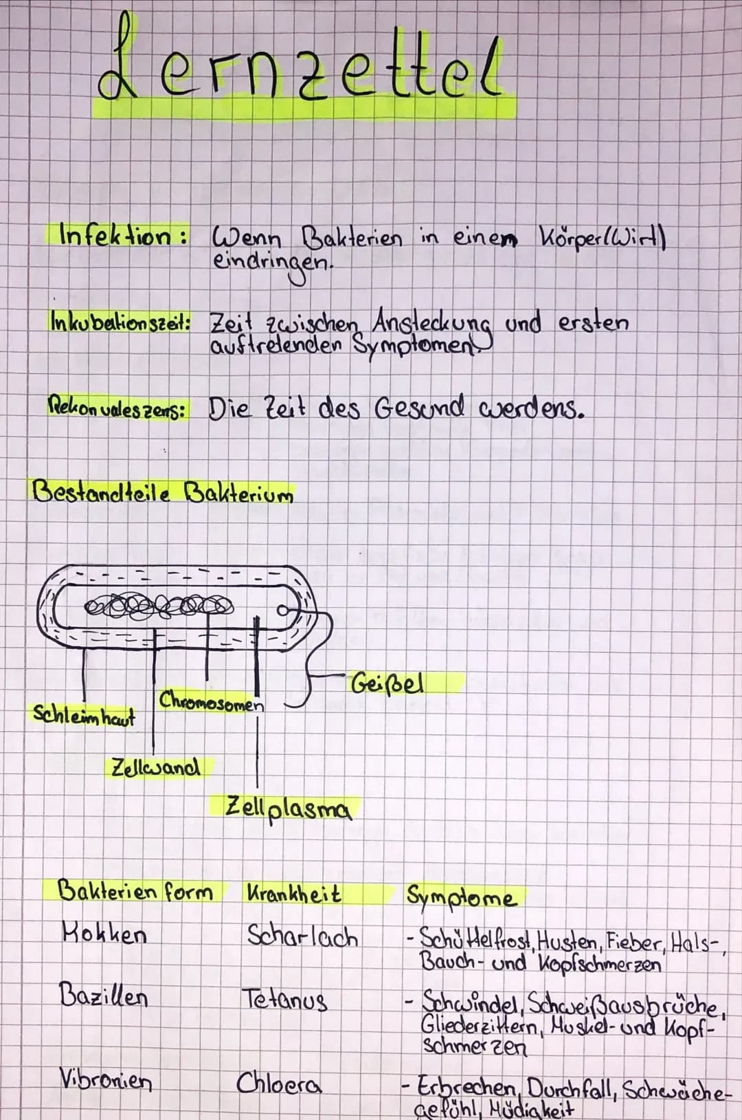 Lernzettel
bildung
von Spezialisierten Zellen
Spezialisierte Zellen werden im Knochenmark und in den
Thymuszellen gebildet.
Spezifische Abwe
