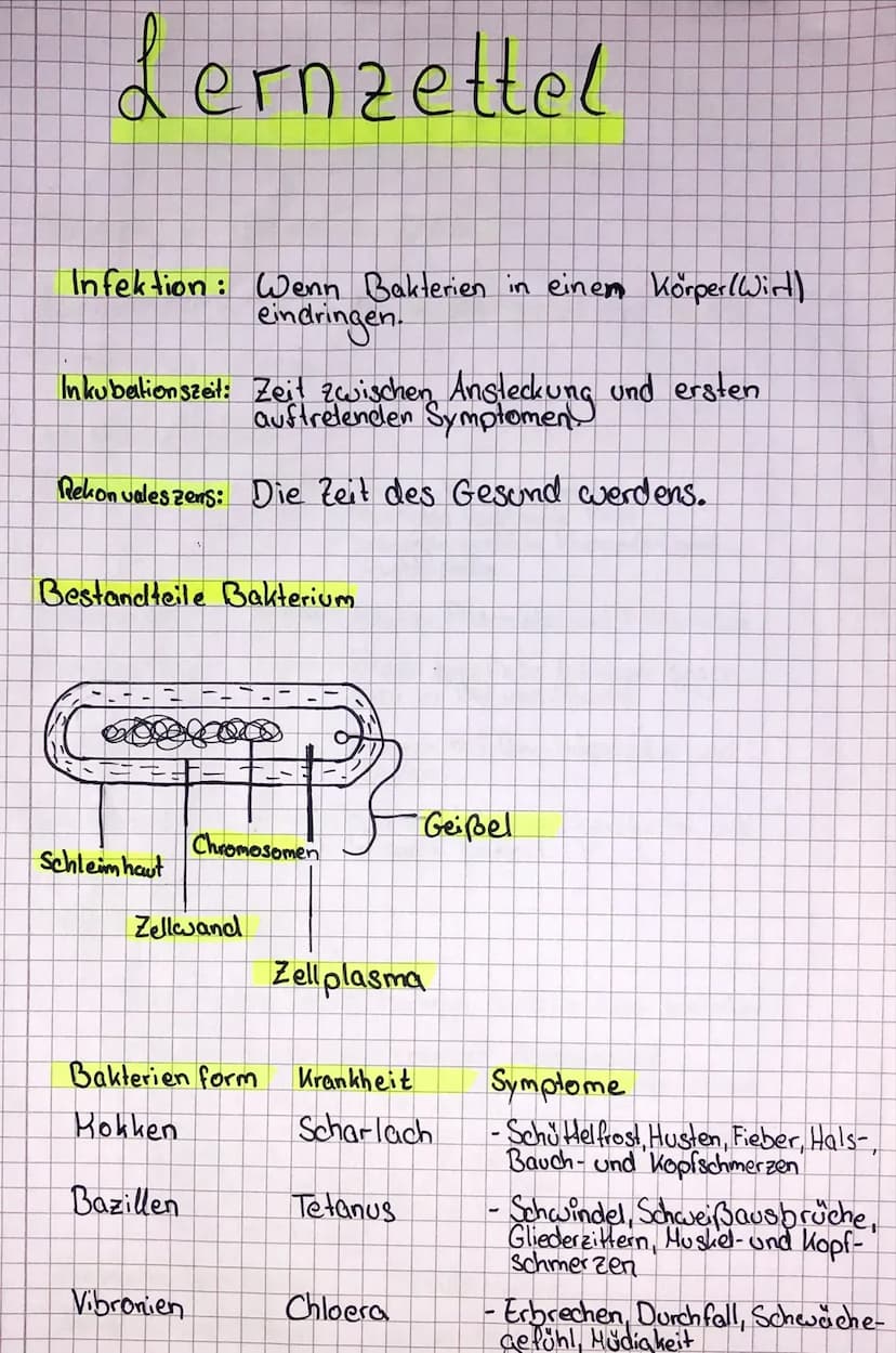 Lernzettel
bildung
von Spezialisierten Zellen
Spezialisierte Zellen werden im Knochenmark und in den
Thymuszellen gebildet.
Spezifische Abwe