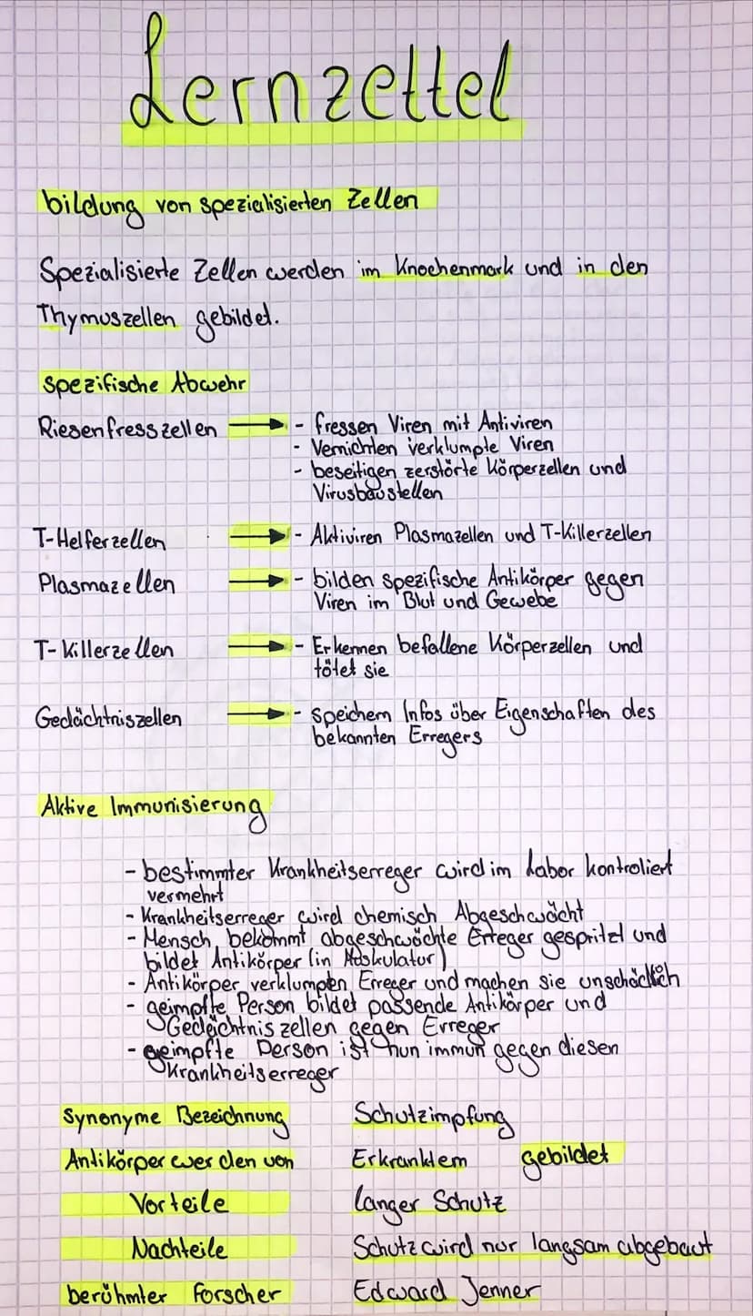 Lernzettel
bildung
von Spezialisierten Zellen
Spezialisierte Zellen werden im Knochenmark und in den
Thymuszellen gebildet.
Spezifische Abwe