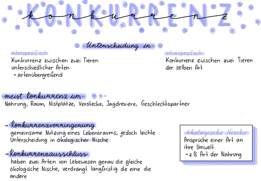 Konkurrenz