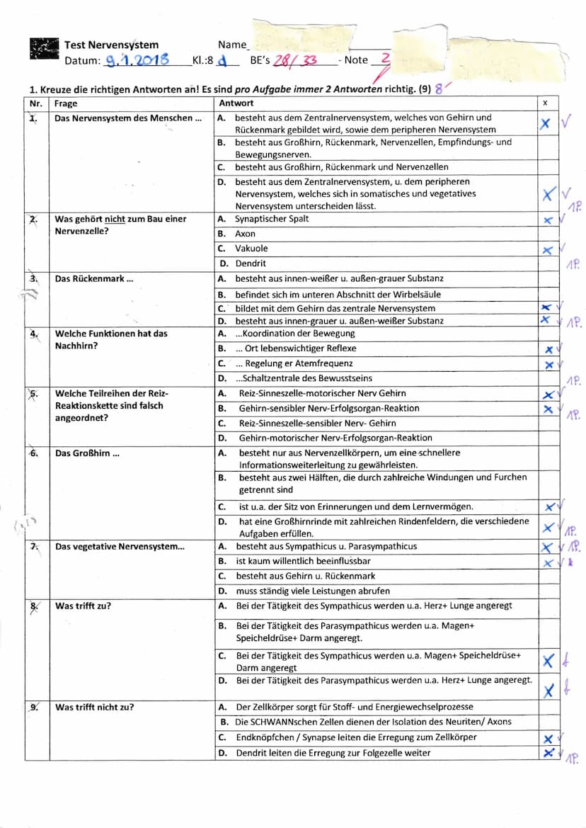 2.
3..
54
21
Begründe, weshalb Informationen innerhalb des Nervensystems sowohl auf chemischen als auch auf
elektrischem Weg weitergegeben w